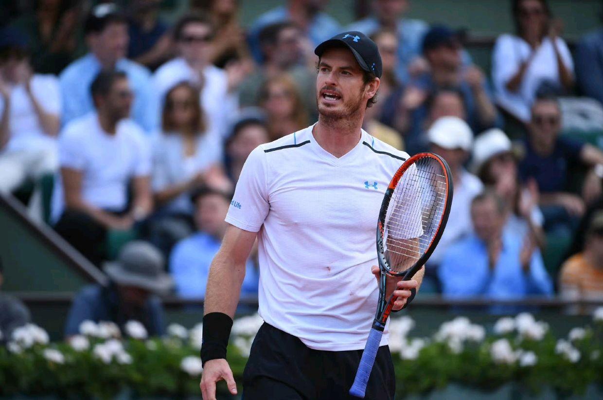 开云下载-包含德国网球队逆转法国网球队，穆雷统治全场的词条